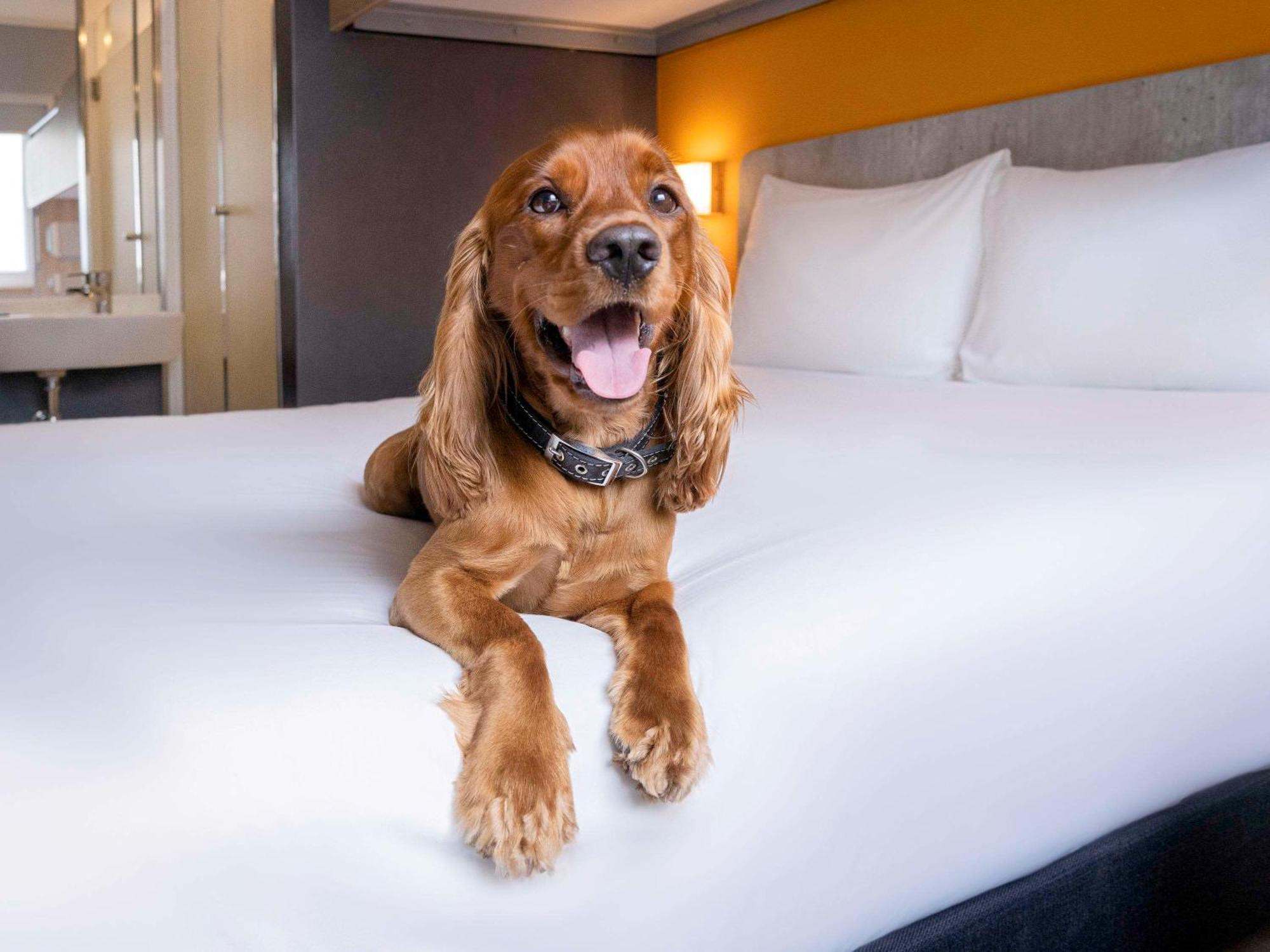 Ibis Budget Miraflores